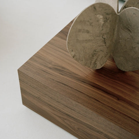 Mass Coffee Table High w. Drawer