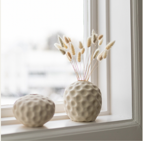 Seedpod Vanilla Large