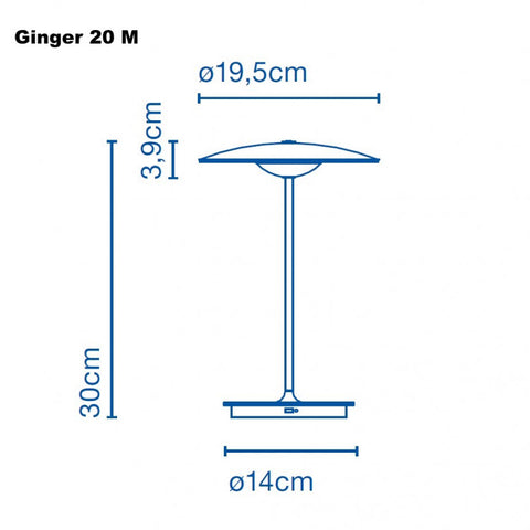 Ginger 20m wireless